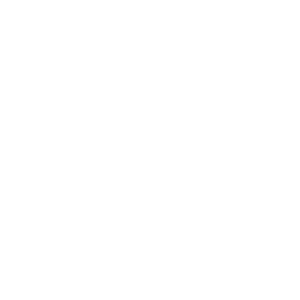 CELI — Cámara de Empresarios Latinos Internacional